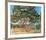 The Stone Pine-Andre Derain-Framed Collectable Print