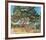 The Stone Pine-Andre Derain-Framed Collectable Print