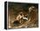 The Storm, 1829-30-William Etty-Framed Premier Image Canvas