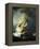 The Storm on the Sea of Galilee-Rembrandt van Rijn-Framed Premier Image Canvas