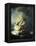 The Storm on the Sea of Galilee-Rembrandt van Rijn-Framed Premier Image Canvas