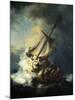 The Storm on the Sea of Galilee-Rembrandt van Rijn-Mounted Giclee Print