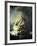 The Storm on the Sea of Galilee-Rembrandt van Rijn-Framed Giclee Print