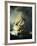 The Storm on the Sea of Galilee-Rembrandt van Rijn-Framed Giclee Print