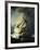 The Storm on the Sea of Galilee-Rembrandt van Rijn-Framed Giclee Print