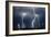 The Storm-SD Smart-Framed Photographic Print