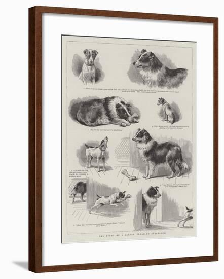 The Story of a Clever Terrier's Stratagem-null-Framed Giclee Print