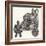 The Story of Armour-Pat Nicolle-Framed Giclee Print