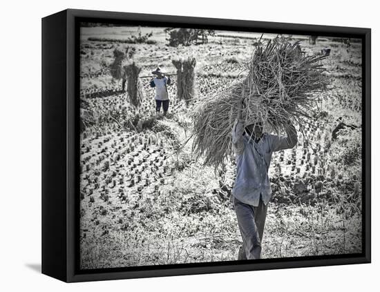 The Strawbearer-Steven Boone-Framed Premier Image Canvas