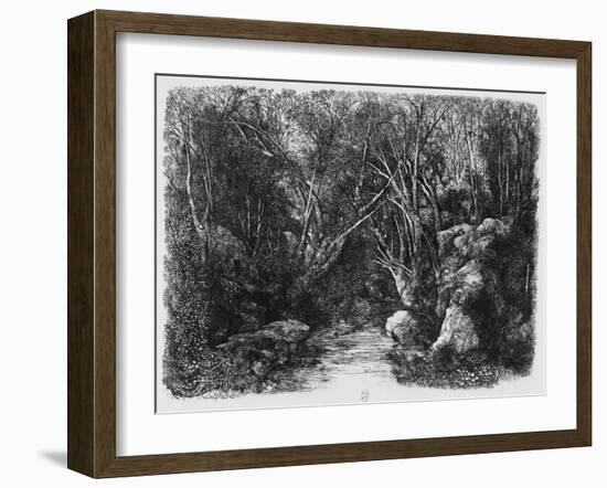 The Stream Through the Trees, 1880 (Etching)-Rodolphe Bresdin-Framed Giclee Print