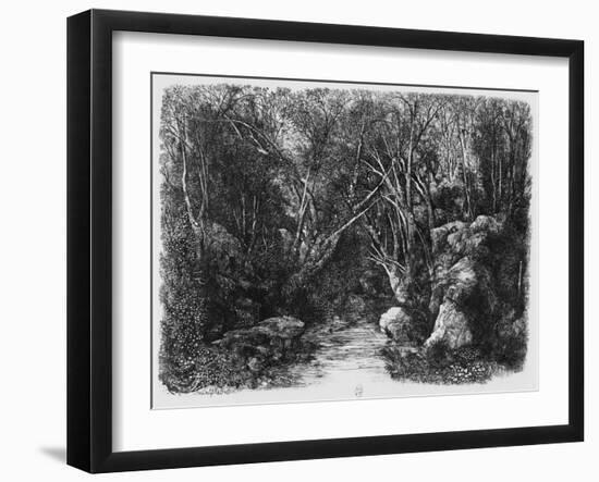 The Stream Through the Trees, 1880 (Etching)-Rodolphe Bresdin-Framed Giclee Print