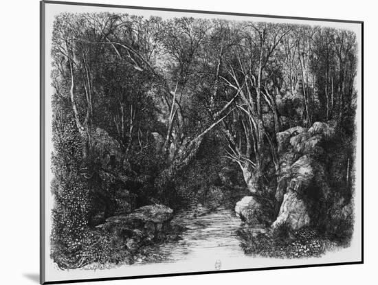 The Stream Through the Trees, 1880 (Etching)-Rodolphe Bresdin-Mounted Giclee Print