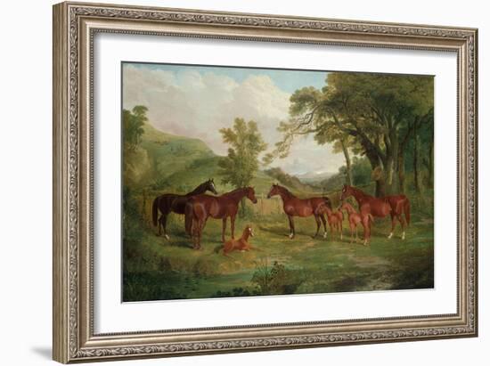 The Streatlam Stud, Mares and Foals, 1836-John Frederick Herring I-Framed Giclee Print