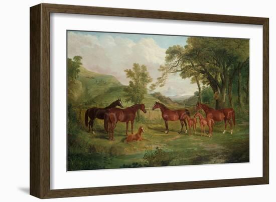 The Streatlam Stud, Mares and Foals, 1836-John Frederick Herring I-Framed Giclee Print