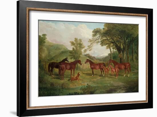 The Streatlam Stud, Mares and Foals, 1836-John Frederick Herring I-Framed Giclee Print