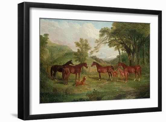 The Streatlam Stud, Mares and Foals, 1836-John Frederick Herring I-Framed Giclee Print