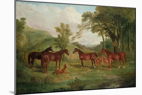 The Streatlam Stud, Mares and Foals, 1836-John Frederick Herring I-Mounted Giclee Print