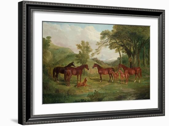 The Streatlam Stud, Mares and Foals, 1836-John Frederick Herring I-Framed Giclee Print