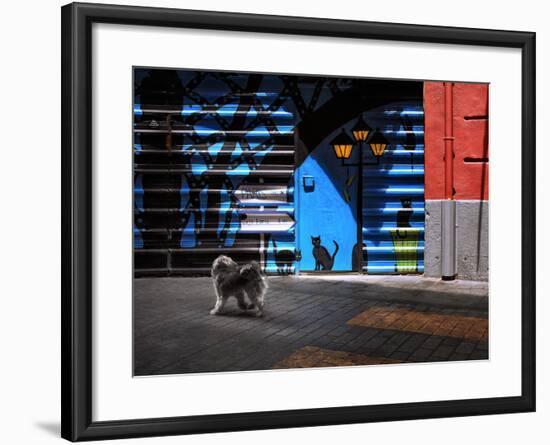 The Street Cats.-Juan Luis-Framed Photographic Print