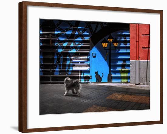 The Street Cats.-Juan Luis-Framed Photographic Print