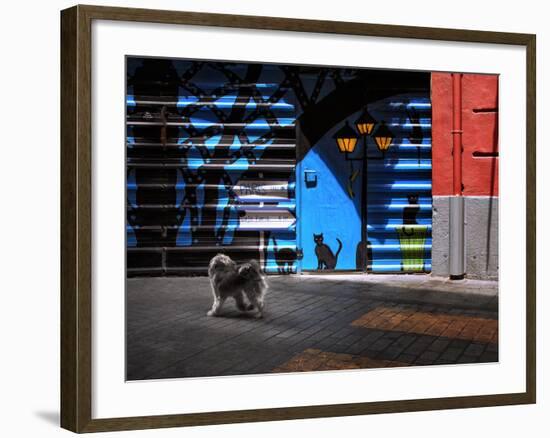 The Street Cats.-Juan Luis-Framed Photographic Print