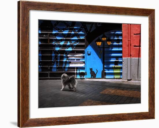 The Street Cats.-Juan Luis-Framed Photographic Print