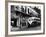 The Streetcar Named Desire is Now a Bus-null-Framed Photographic Print