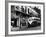 The Streetcar Named Desire is Now a Bus-null-Framed Photographic Print