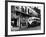 The Streetcar Named Desire is Now a Bus-null-Framed Photographic Print