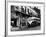 The Streetcar Named Desire is Now a Bus-null-Framed Photographic Print