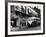 The Streetcar Named Desire is Now a Bus-null-Framed Photographic Print