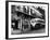 The Streetcar Named Desire is Now a Bus-null-Framed Photographic Print