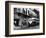 The Streetcar Named Desire is Now a Bus-null-Framed Photographic Print