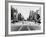 The Streetcar Tracks of Canal Street in New Orleans-null-Framed Photographic Print