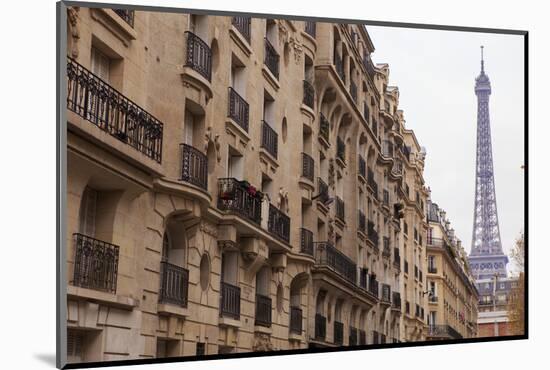 The Streets of Paris are Home to Many Intricately Designed Balconies and Balustrades-Paul Dymond-Mounted Photographic Print
