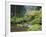 The Strolling Pond with Moon Bridge in the Japanese Garden, Portland, Oregon, USA-Greg Probst-Framed Photographic Print