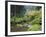 The Strolling Pond with Moon Bridge in the Japanese Garden, Portland, Oregon, USA-Greg Probst-Framed Photographic Print