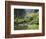 The Strolling Pond with Moon Bridge in the Japanese Garden, Portland, Oregon, USA-Greg Probst-Framed Photographic Print