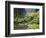 The Strolling Pond with Moon Bridge in the Japanese Garden, Portland, Oregon, USA-Greg Probst-Framed Photographic Print