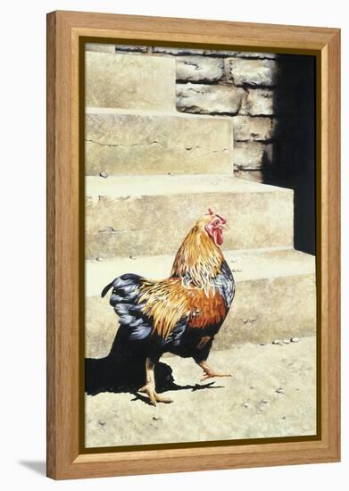 The Strutter, 2004-Sandra Lawrence-Framed Premier Image Canvas