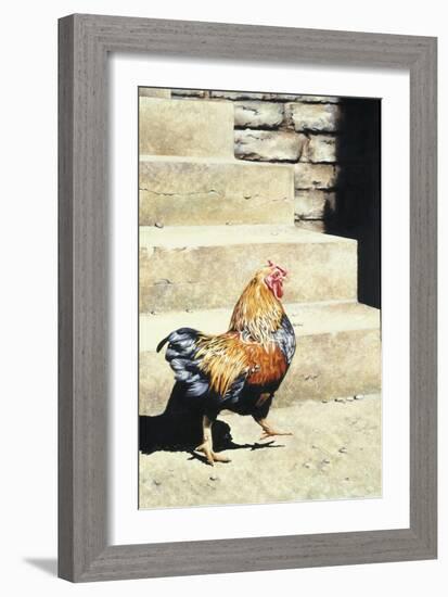 The Strutter, 2004-Sandra Lawrence-Framed Giclee Print