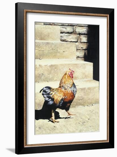 The Strutter, 2004-Sandra Lawrence-Framed Giclee Print