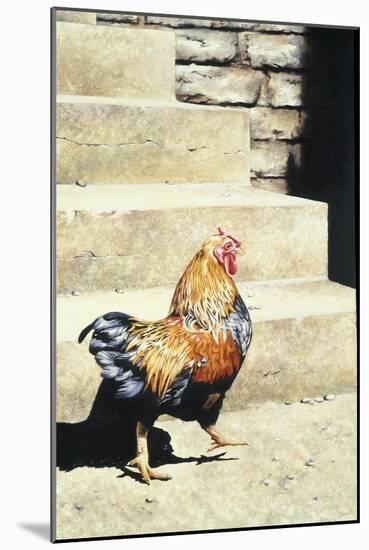 The Strutter, 2004-Sandra Lawrence-Mounted Giclee Print