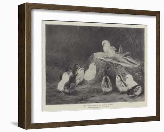 The Stump Orator-Robert Morley-Framed Giclee Print