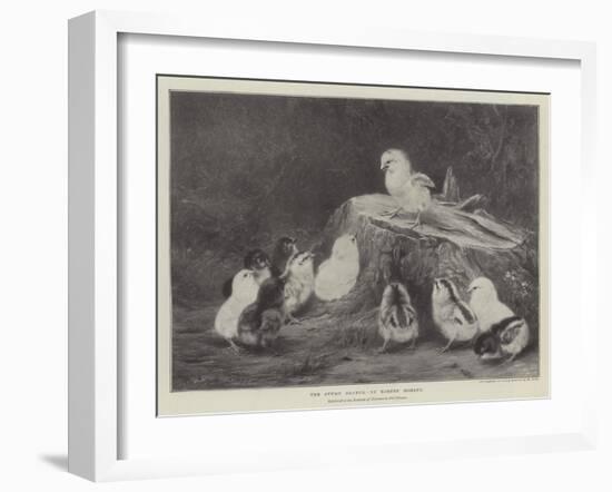 The Stump Orator-Robert Morley-Framed Giclee Print