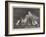The Stump Orator-Robert Morley-Framed Giclee Print