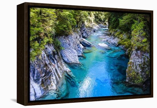 The Stunning Blue Pools, Haast Pass, South Island, New Zealand, Pacific-Michael Runkel-Framed Premier Image Canvas