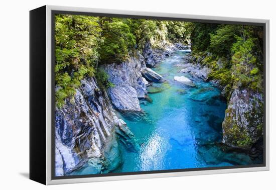 The Stunning Blue Pools, Haast Pass, South Island, New Zealand, Pacific-Michael Runkel-Framed Premier Image Canvas