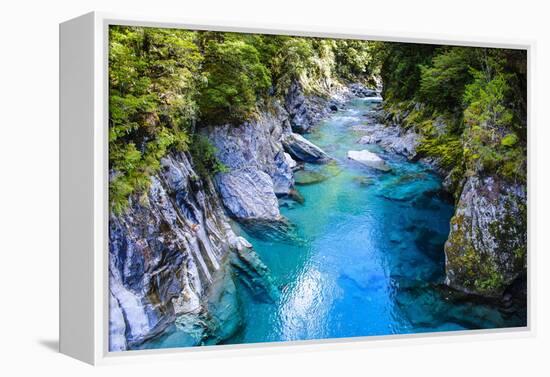 The Stunning Blue Pools, Haast Pass, South Island, New Zealand, Pacific-Michael Runkel-Framed Premier Image Canvas