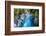 The Stunning Blue Pools, Haast Pass, South Island, New Zealand, Pacific-Michael Runkel-Framed Photographic Print